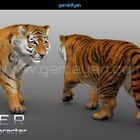 3d tiger animal character modeling