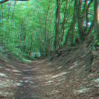 3D Wege der Kohle (1) ...