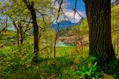 Pantano de la Llosa de Cavall de Pedro Szendro