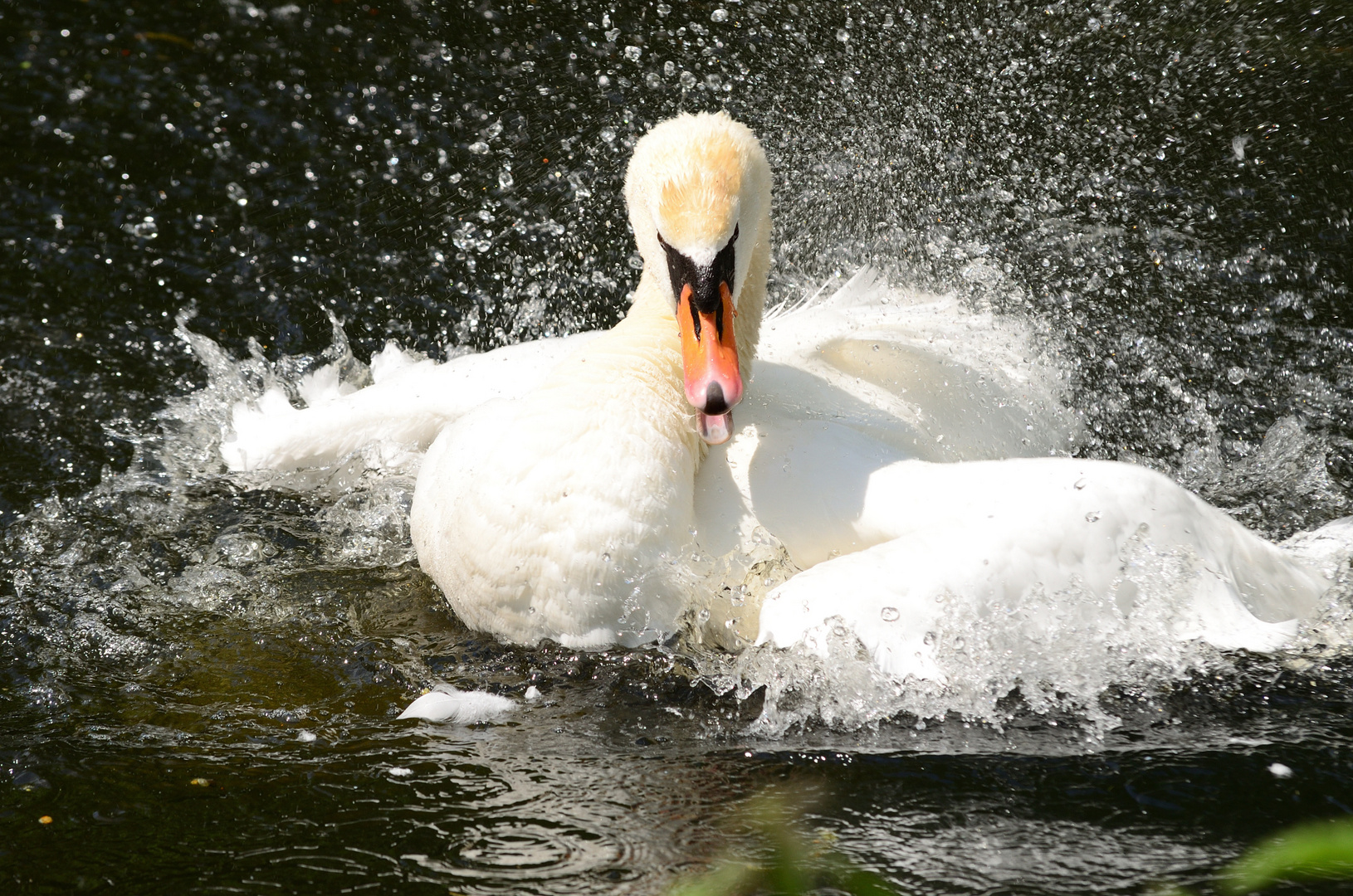 3_Die wilde Hilde! 