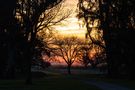 El último atardecer de otoño by Roberto Justo Robiolo