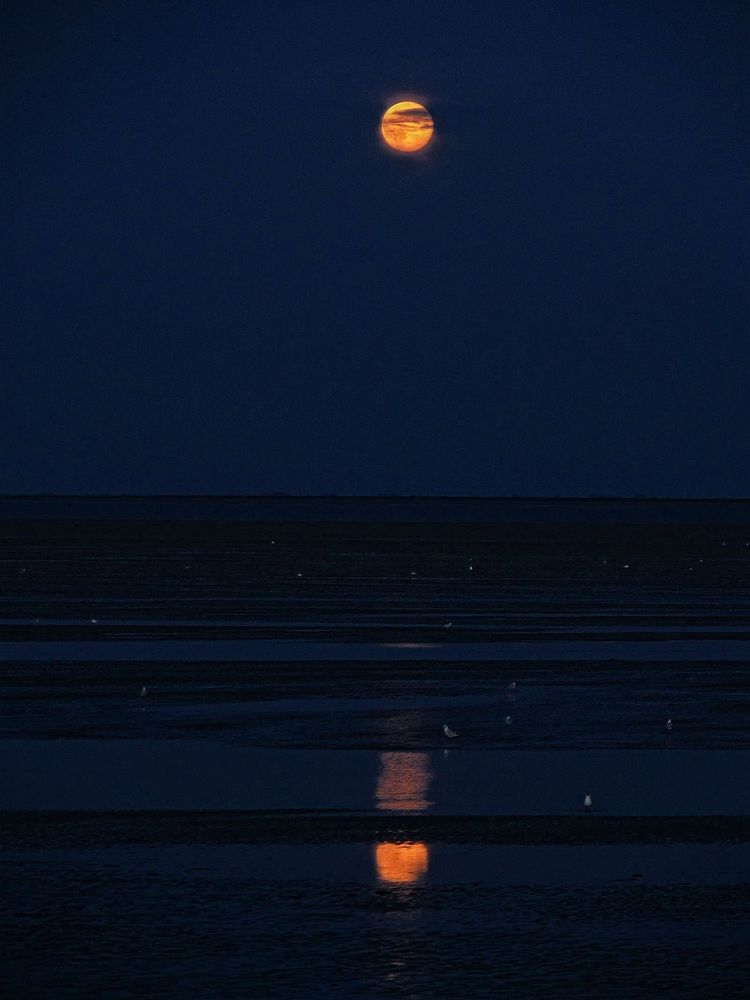 im Watt bei Vollmond von UlliMi