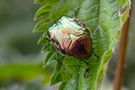 Früh dran .... von Landschaftsfotografie-Pfalz.de