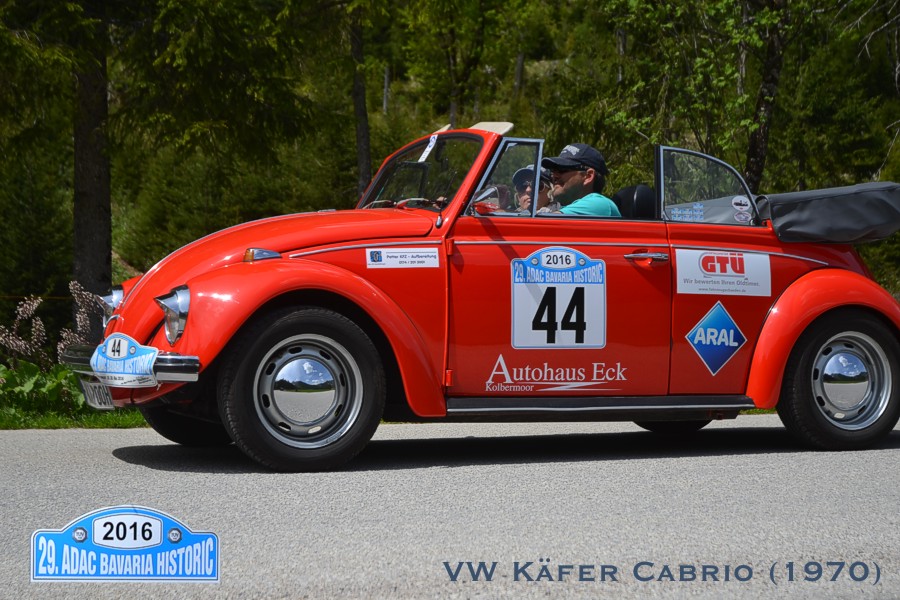 3_vw_kaefer_6044