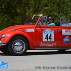 3_vw_kaefer_6044