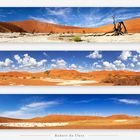 3x Panorama - Dead Vlei - Sossus Vlei - Dead Vlei