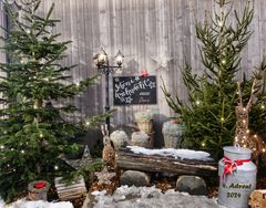 4. Advent