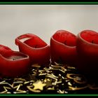 4. Advent