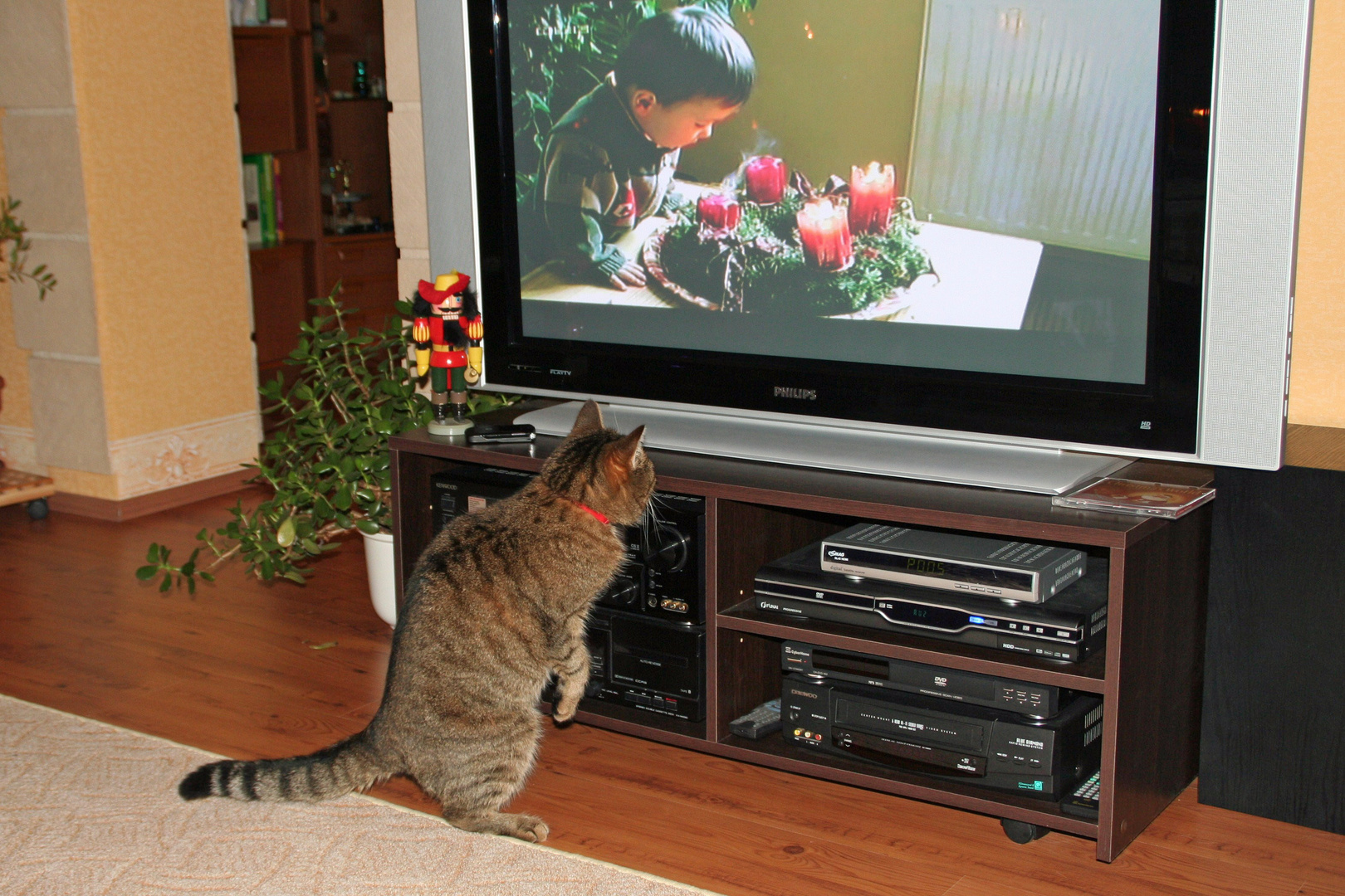 4. Advent: FS-Programm für K. und K. (Kinder und Katzen)