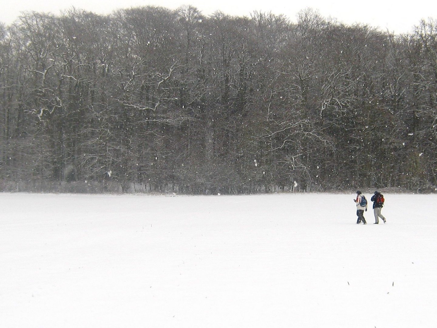 4 Anwandern 2010: übers Feld 1