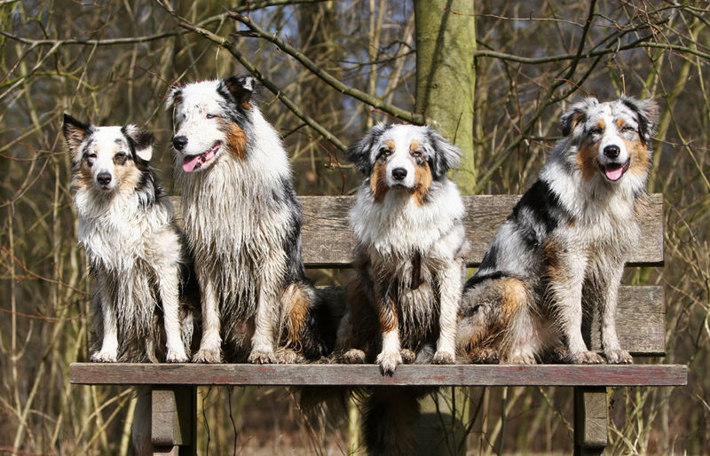 4 auf der Bank