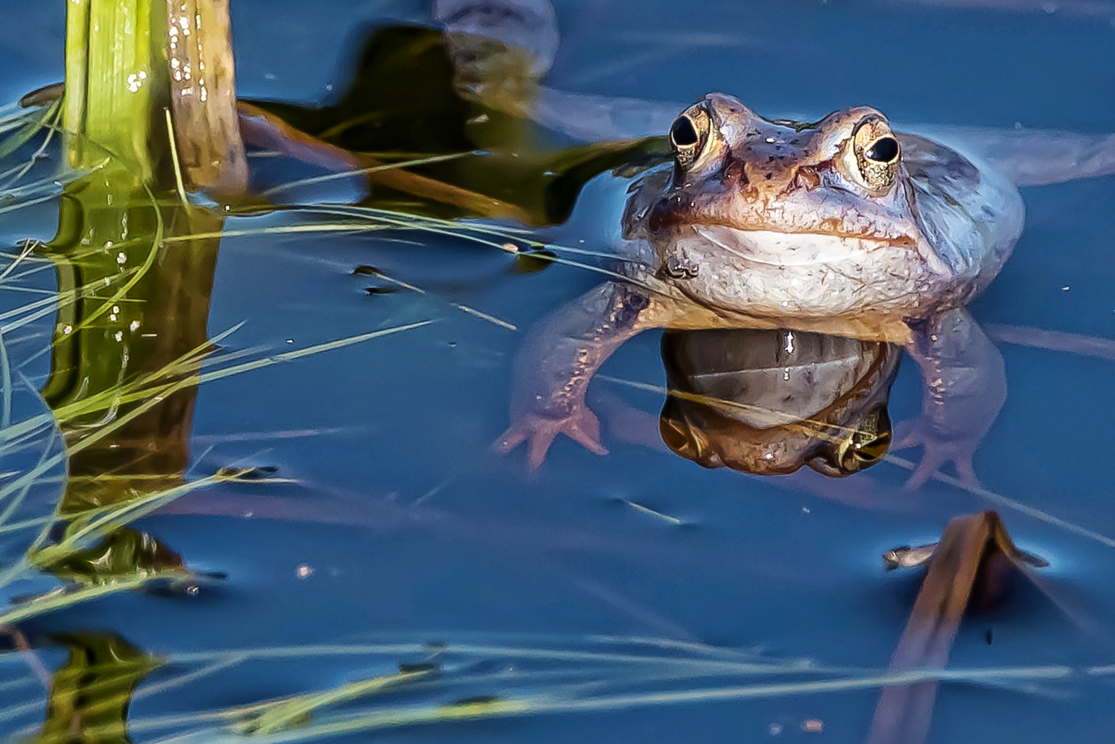  4 Augen sehen mehr als 2