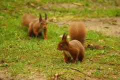 4 Augen sehen mehr als 2 ;O)