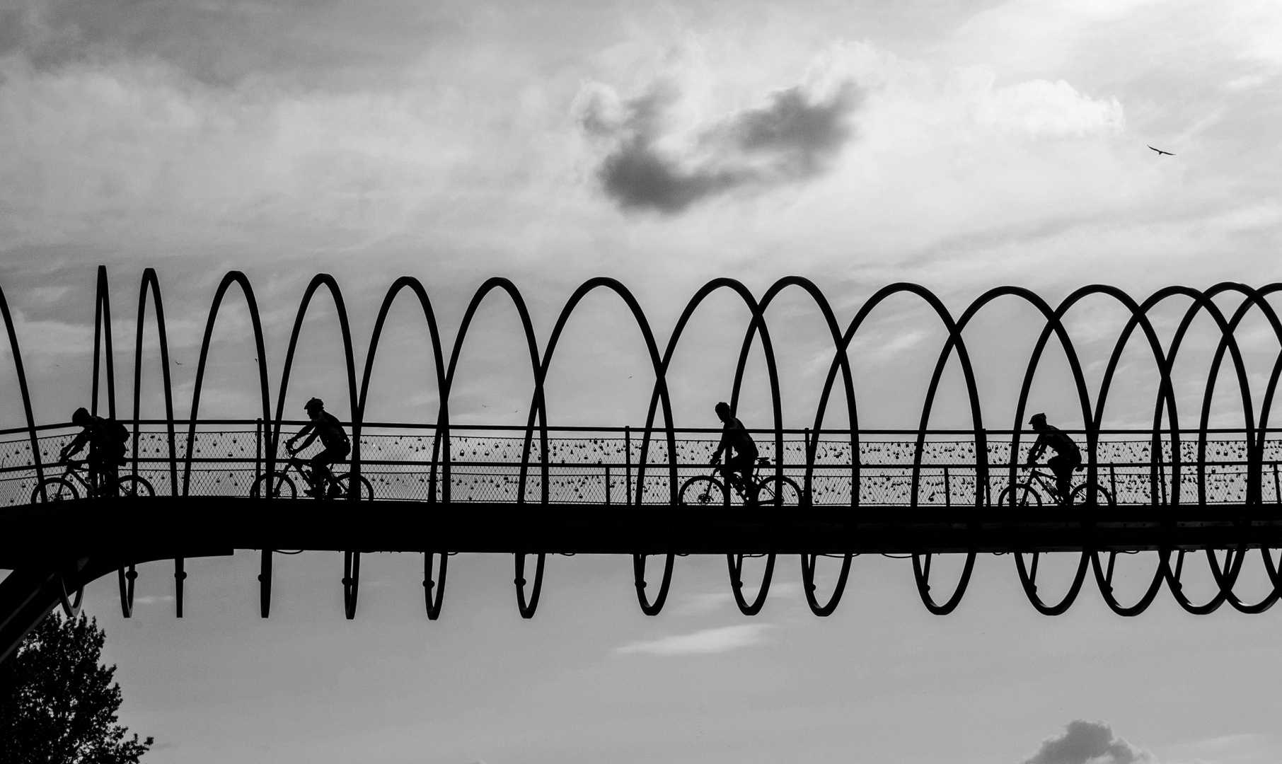 4 Bikers on Slinky Bridge