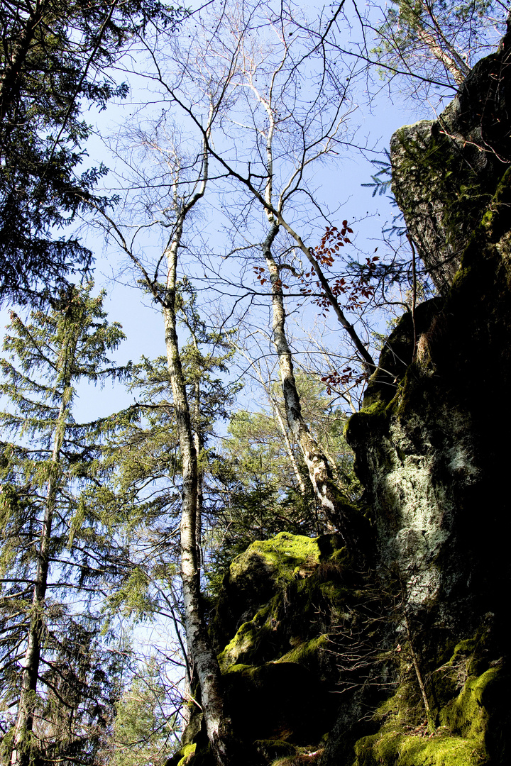 4. Blick Richtung Kanzel 