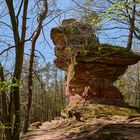  4 Burgenwanderung in den Nordvogesen, die Vogesen liegen gerade mal 50 km von mir entfernt.