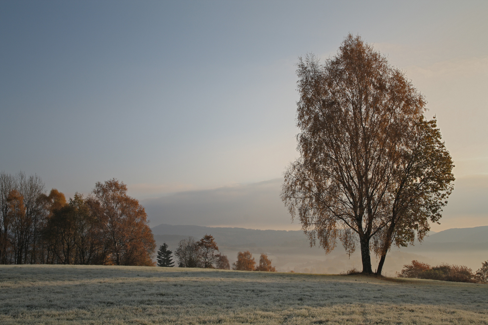 - 4 ° C