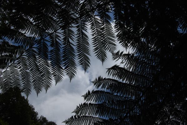 4 - Donnerstag mit Durchblick  bis zum Himmel 