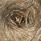 (4) Ein Nest der Großen Wollbiene (Anthidium manicatum)