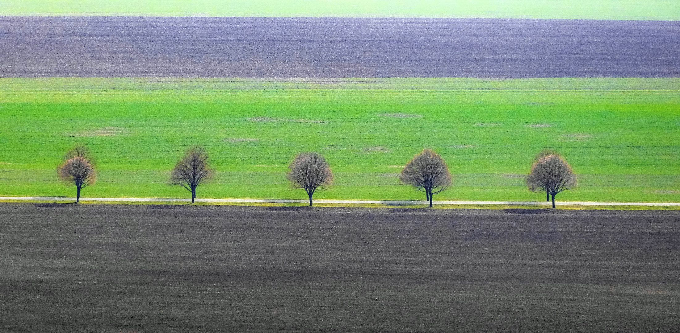 4 Flächen und 5 Kugeln