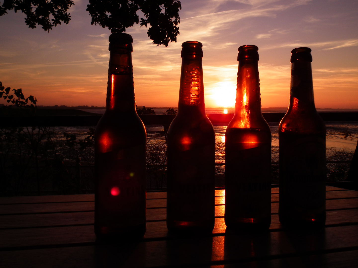 4 Flaschen genießen den Sonnenuntergang am Jadebusen