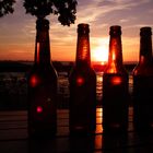 4 Flaschen genießen den Sonnenuntergang am Jadebusen