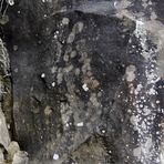 4. _ Guanchen _ Petroglyphen _