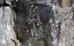 4. _ Guanchen _ Petroglyphen _