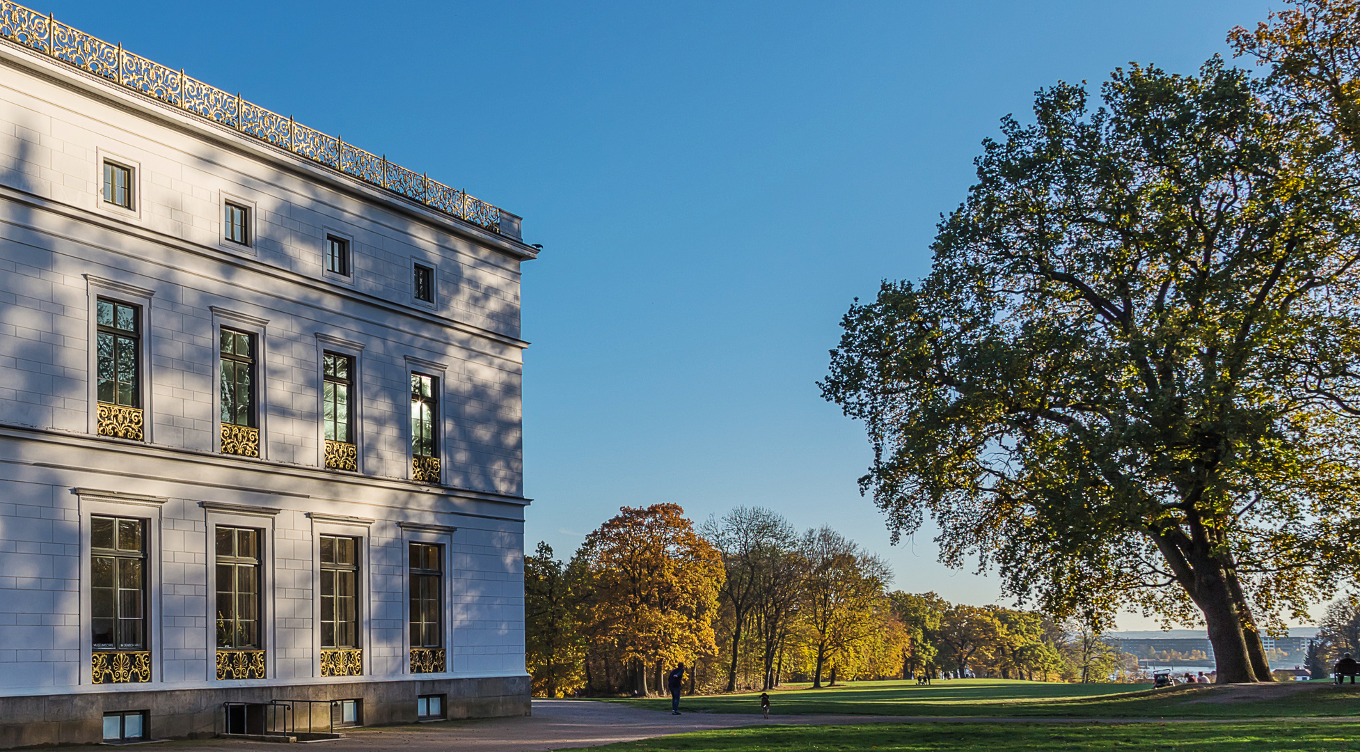 (4) Herbst 2018 im Jenischpark