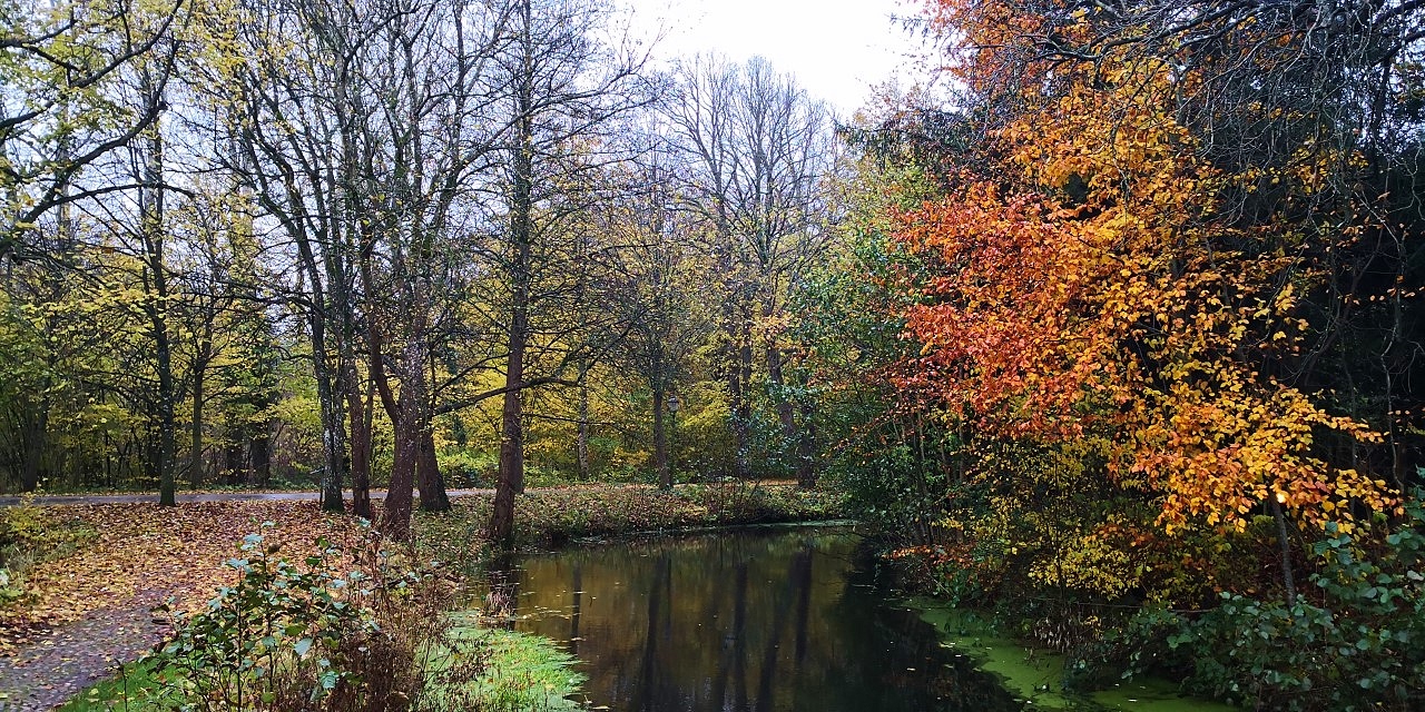 (4) Herbstliche Impressionen...