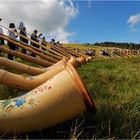 4. internationales Alphorntreffen auf dem Feldberg 2009 - #1