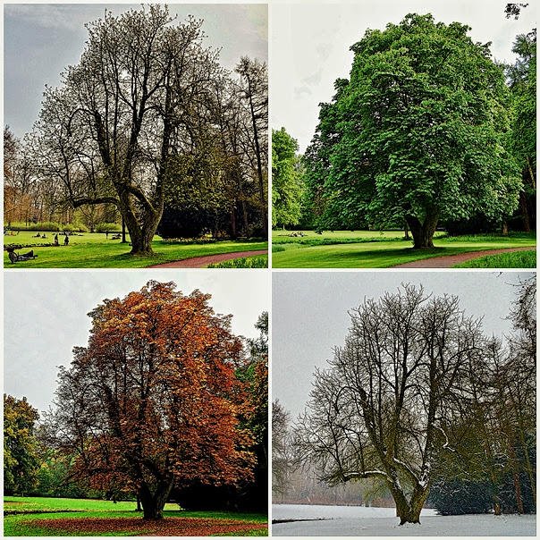 4 Jahreszeiten in Schlossgarten von Oldenburg