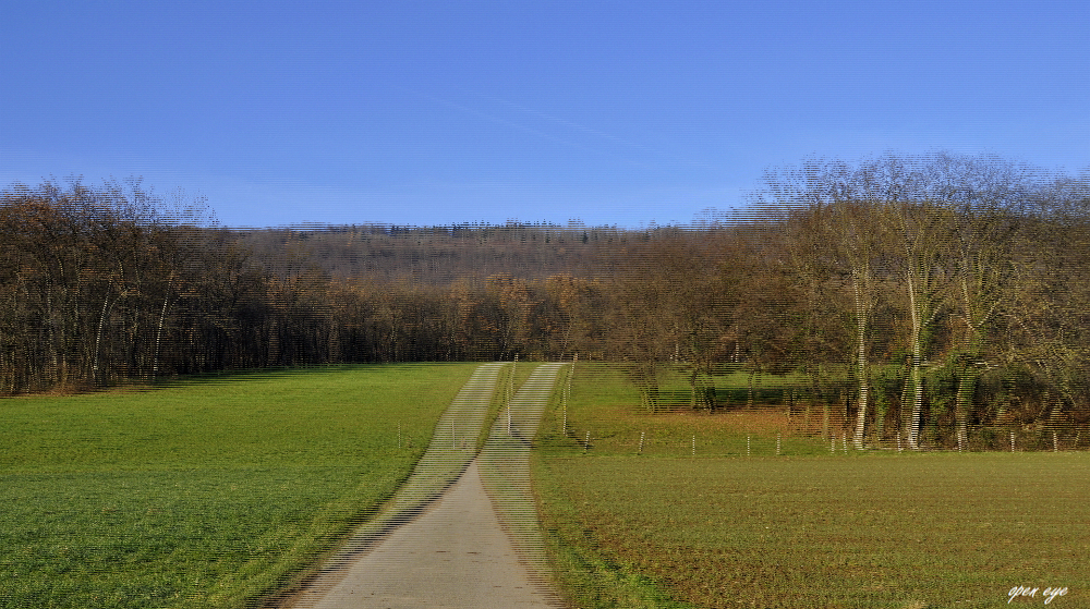 4._ Juraweid Biberstein Kt. Aargau Schweiz _