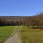 4._ Juraweid Biberstein Kt. Aargau Schweiz _