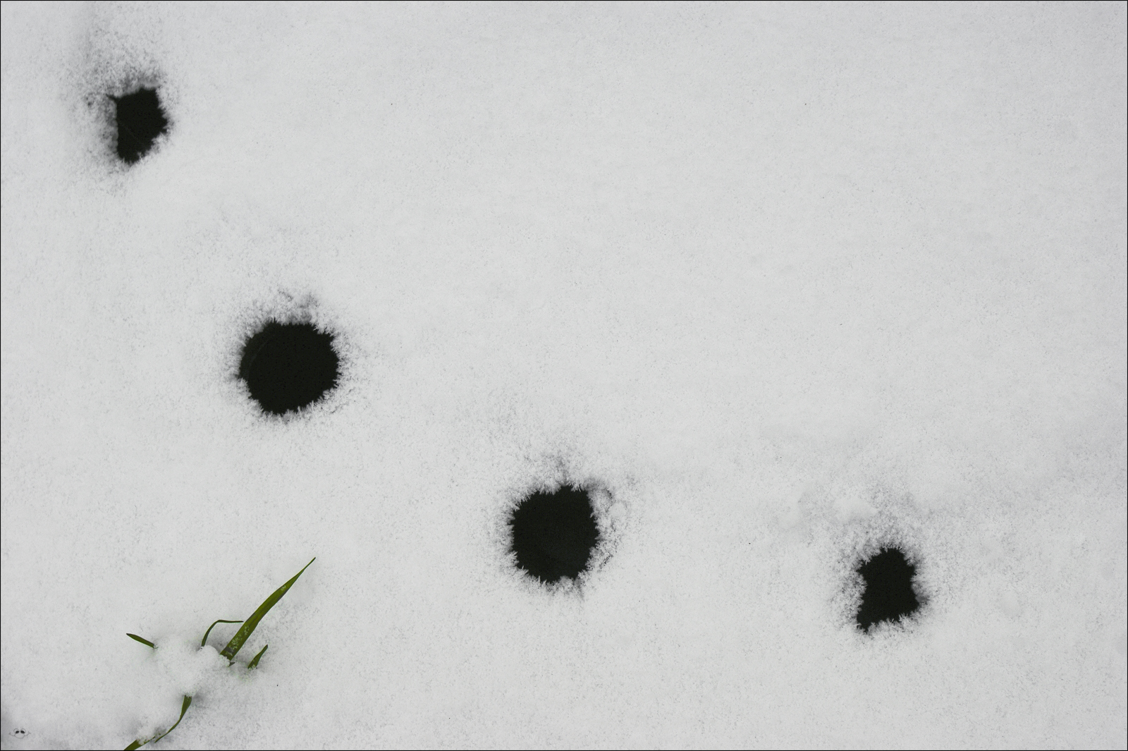 4 Löcher im Schnee