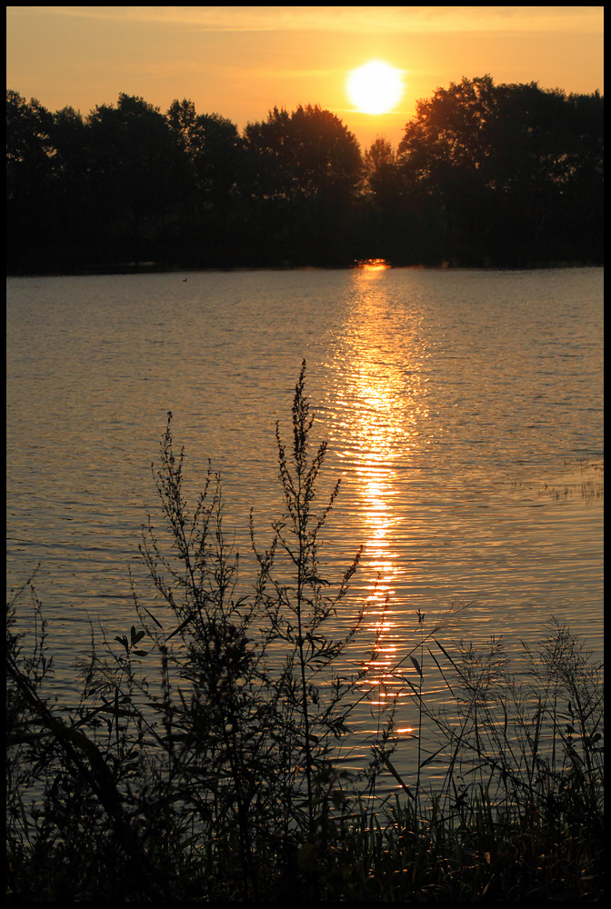 4. Oktober 2010, 8:01 Uhr