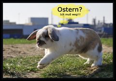 4. Ostern? Ich bin weg!!!