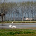 4 passi in campagna