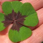 4 petits coeurs de bonheur ... pour toi, Maman chérie