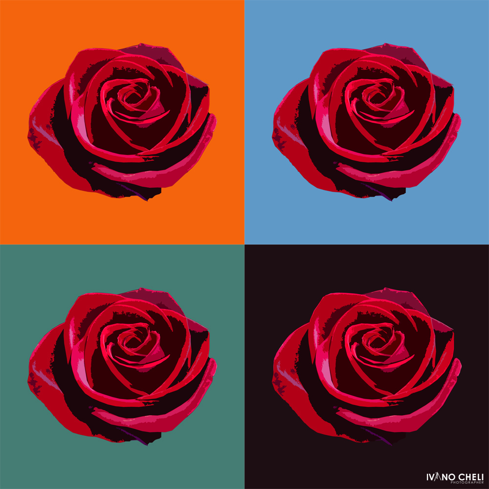4 Roses 4