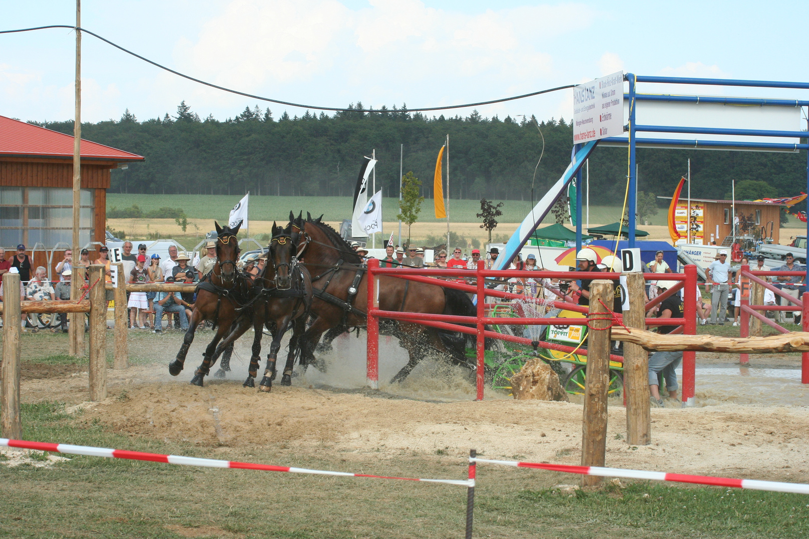 4 Spänner in Hülen bei der Geländeprüfung