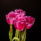 4 Tulpen zum 3 Februar..