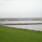 (4) Wattenmeer