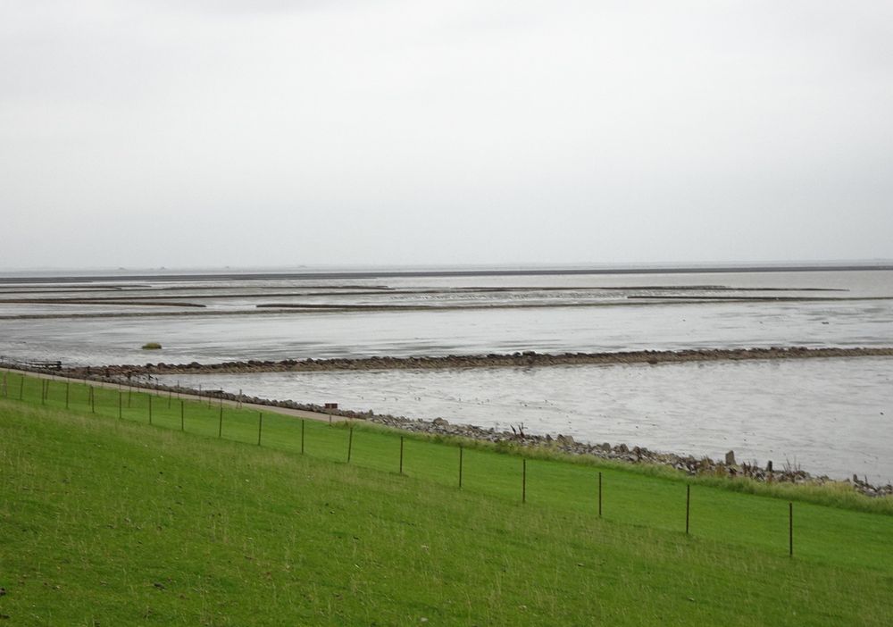 (4) Wattenmeer