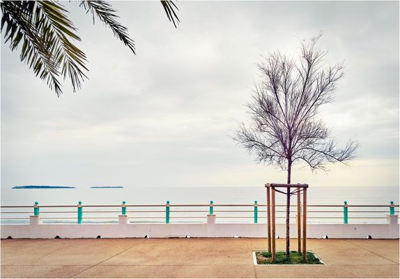 4 Wedel und ein Halbstarker