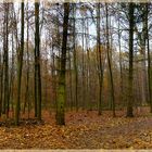 4-Weg-Herbst-Panorama