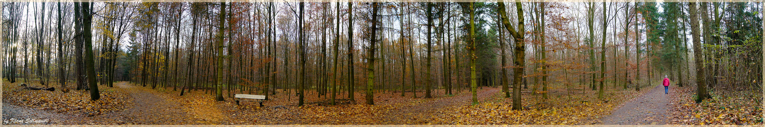 4-Weg-Herbst-Panorama