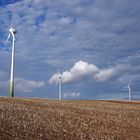 4 Windräder an einem Feld