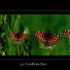 4 x kleiner Schmetterling