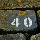 40